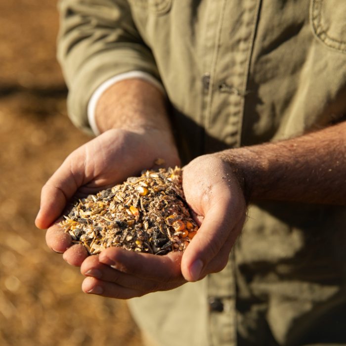male-farmer-holding-grains-his-hands